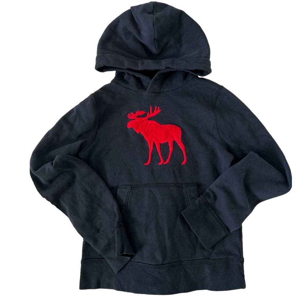 Abercrombie Kids Moose Hoodie